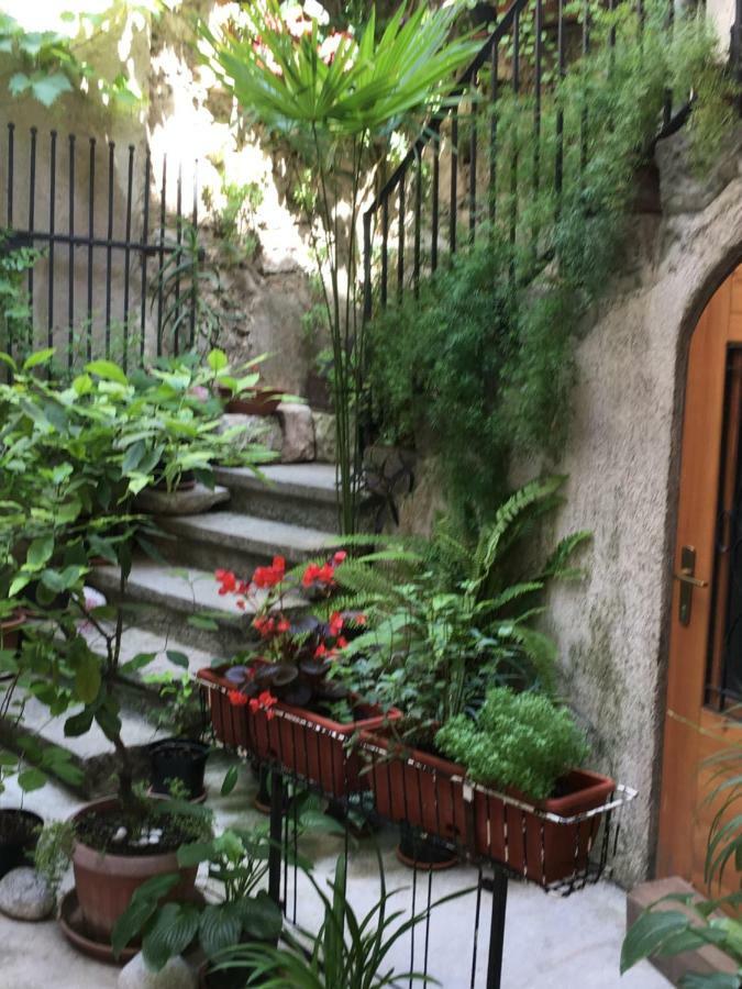Apartment Filipas Cres Kültér fotó
